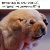 Арина 27, Алматы секс знакомства в г Алматы