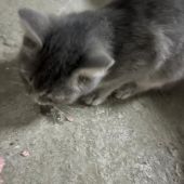 Иван 21, Астана секс знакомства в г Астана