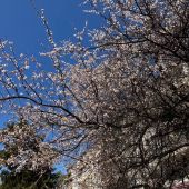 Angie 18, Алматы секс знакомства в г Алматы