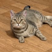 Секс фото - Fire 39, Москва