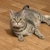 Секс фото - Fire 39, Москва