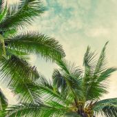 Айза 30, Алматы секс знакомства в г Алматы