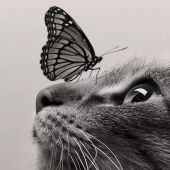 Малинка 30, Алматы секс знакомства в г Алматы