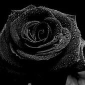 секс знакомства в г Астана