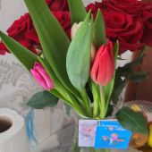 секс знакомства в г Актобе