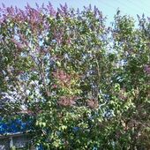 mawa 33, Павлодар секс знакомства в г Павлодар