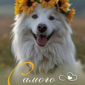 Секс фото - Алёна 36, Иваново