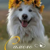 Секс фото - Алёна 36, Иваново