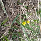 Zaika 30, Алматы секс знакомства в г Алматы