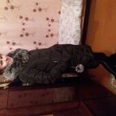 Александра 22, Темиртау секс знакомства в г Темиртау