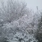 Секс фото - Марина 45, Москва