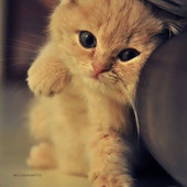 секс знакомства в г Астана