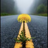 Секс фото - Gala 37, Адлер