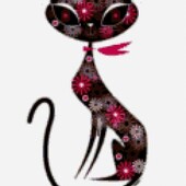 Кошка 35, Алматы секс знакомства в г Алматы