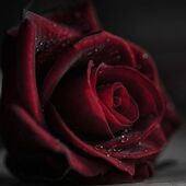 Ayn Rand 32, Алматы секс знакомства в г Алматы