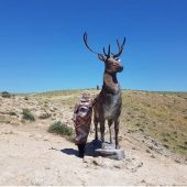 Дамеш 59, Алматы секс знакомства в г Алматы