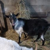 Дина 46, Павлодар секс знакомства в г Павлодар