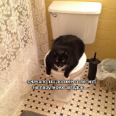 Лена 20, Алматы секс знакомства в г Алматы