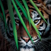 Вика 34, Алматы секс знакомства в г Алматы