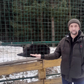 секс знакомства в г Звенигородка