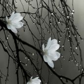 Niki 24, Алматы секс знакомства в г Алматы