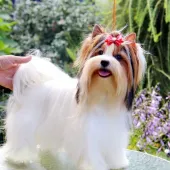 Секс фото - Карина 35, Бобруйск