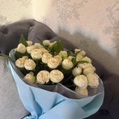 секс знакомства в г Алматы
