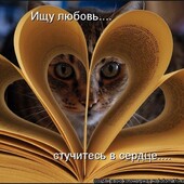 Амазонка 35, Шымкент секс знакомства в г Шымкент