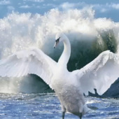 Галина 50, Алматы секс знакомства в г Алматы