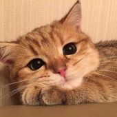 Mila 25, Алматы секс знакомства в г Алматы