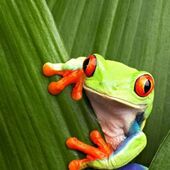 Карина 28, Алматы секс знакомства в г Алматы